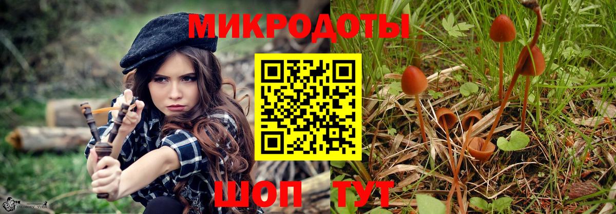 Галлюциногенные грибы прущие грибы Алексин