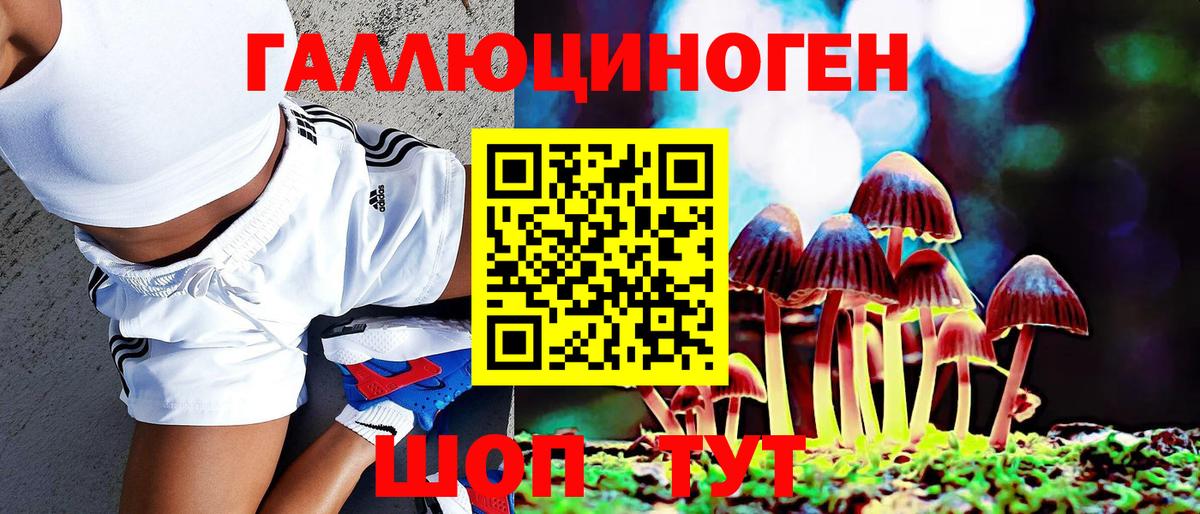 Псилоцибиновые грибы прущие грибы  Псилоцибиновые грибы мухоморы  Алексин  Вход с VPN 
